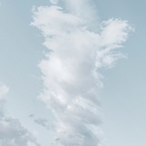 蜜糖与解药