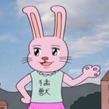 🐷