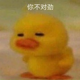 一条肥咸鱼