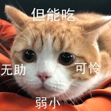 为了自己冲鸭
