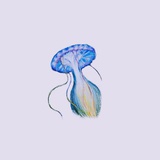 睿-Rita.