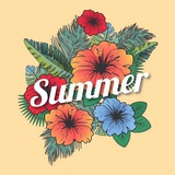 王夏