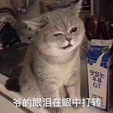我真的瑞思拜