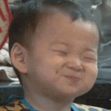 皮皮议