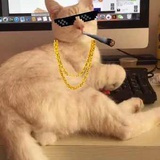 TykyoClod