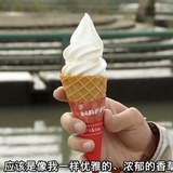 阿白的小翅膀