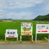 要凉不凉