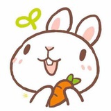 蕾丝狸