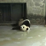 为伊消得人憔悴