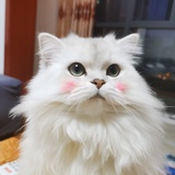 欣欣然