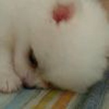 嗯，就这样