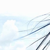 一根伟大的狒柴