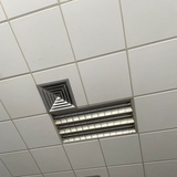 爱青蛙