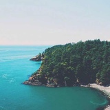 别搞那些有的没