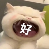 小七七七七七七