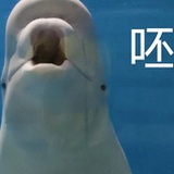 反矫情教育局