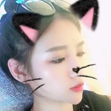 徒步旅行的猫