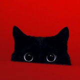 本无鬼见愁