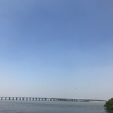 大灰狼
