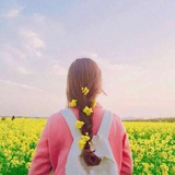阿门阿前一棵葡