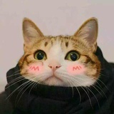 哦哈哟