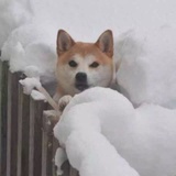 甜蜜饯儿～