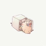 🍉Annie_邵