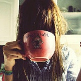 冒险岛上的狐狸