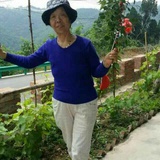富贵花开