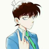 向阳背光