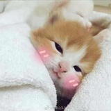 何舟
