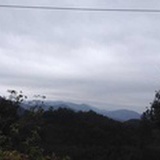 刘