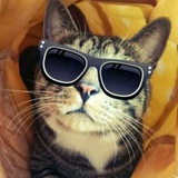 Nekoちゃん