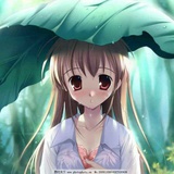 小小樱