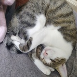 略...