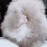 吃瓜群众