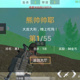 浪