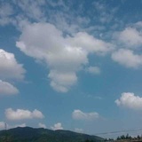林春沃