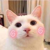 江小型