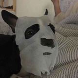 一堆乱码