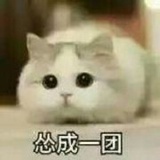 你猜我猜你猜不