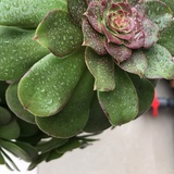 打孔