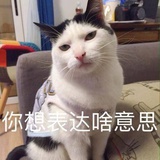 南瓜
