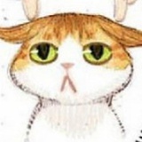 Ms.万物