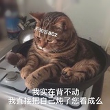 哀哀蓝莓酱