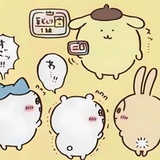想养一只龙猫