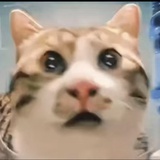 竹堂书生