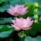 豆友167640641