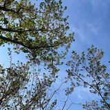 无话可说