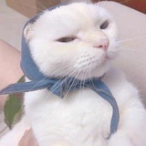 恩和